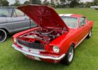 AmericanDay24