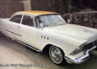 57ply_belv