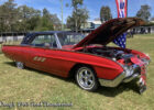 63bird1