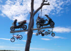 Bundaberg_16