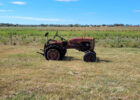 Bundaberg_18