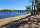 Bundaberg_50
