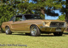 rob_68mustang