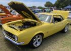 Harrigans_31