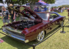 Harrigans_54