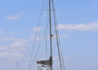 Harrigans_58